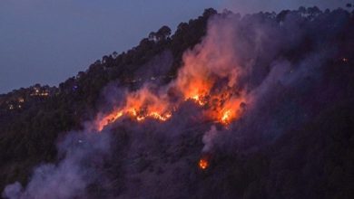 Photo of 930 Incidents Of Forest Fires Reported In Garhwal And Kumaon Regions
