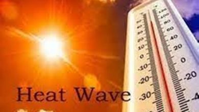 Photo of Several Places In Rajasthan Are In The Grip Of Extreme Heat