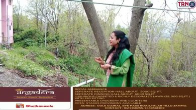 Photo of Exploring the Richness of Kashmir: The Story Behind Kashmir Walnut”