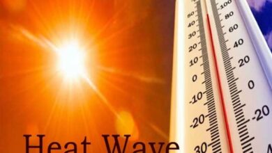Photo of Severe Heatwave Continues, No Relief Expected For Next 3 Days