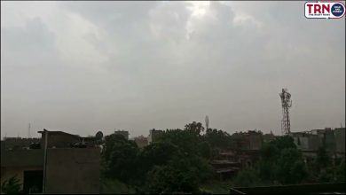 Photo of Dust storm accompanied with gusty wind and shower changes the mood of people in jammu