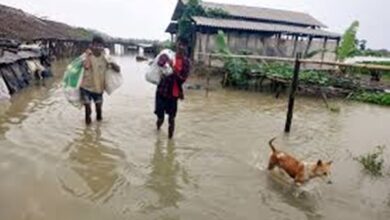 Photo of Flood Situation Remains Critical With Over 16 Lakh People Reeling Under Deluge Across 29 Districts