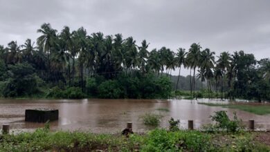 Photo of IMD Issues Orange Alert For Heavy Rain In Various Districts Of Maharashtra