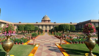 Photo of President Droupadi Murmu to inaugurate Amrit Udyan Summer Annuals 2024 at Rashtrapati Bhavan