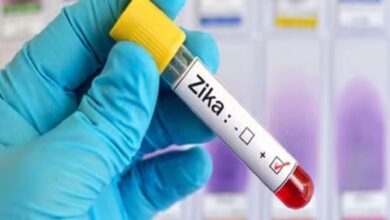 Photo of Seven patients reported positive for Zika virus in Pune