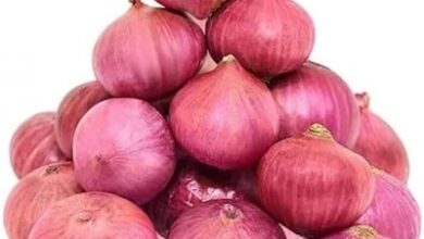 Photo of Govt selling onion at subsidised rates to reduce prices