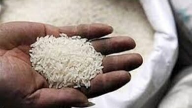 Photo of Floor price removed on export of Basmati rice