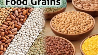 Photo of Record over 3,322 Lakh metric  tons of food grain production estimated during 2023-24