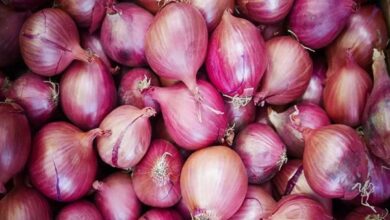 Photo of Govt adopts bulk sales strategies to ensure availability of onion at affordable prices