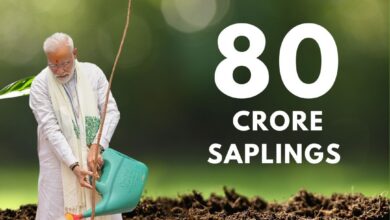 Photo of Over 80 Crore Seedlings Planted Nationwide Under ‘Ek Ped Maa Ke Naam’ Mega Plantation Drive
