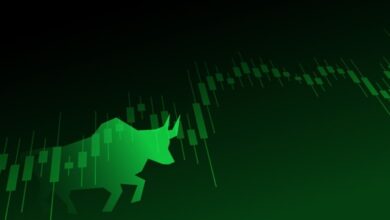 Photo of Sensex and Nifty Hit Record Highs