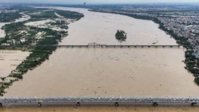 Photo of Typhoon Yagi causes widespread destruction across southern China & Southeast Asia