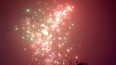 Photo of Delhi Government Imposes Total Ban on Firecrackers to Combat Pollution
