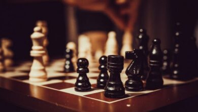 Photo of 45th FIDE Chess Olympiad to begin in Budapest, Hungary