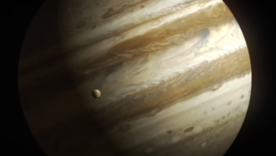 Photo of NASA Launches Europa Clipper To Examine Jupiter’s Moon