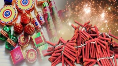 Photo of Delhi Govt Bans  Manufacturing, Storage And Selling Of Firecrackers