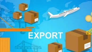 Photo of India’s exports surge 7.28% during April-Oct