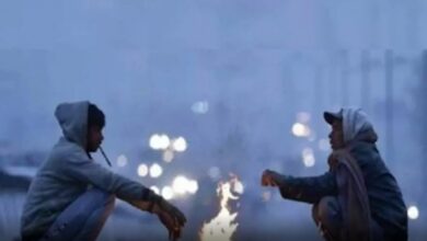 Photo of IMD predicts cold wave to severe cold wave conditions over Madhya Pradesh & other states