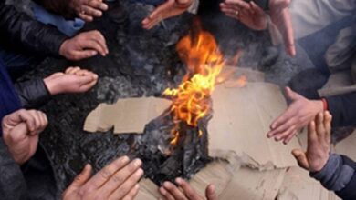Photo of Severe cold wave hits Telangana as most districts record minimum temperatures below 10°C