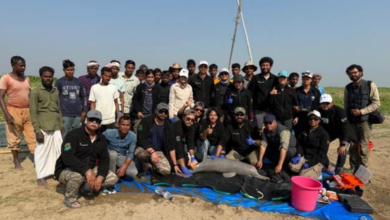 Photo of India achieves milestone in Wildlife Conservation with first-ever Ganges River Dolphin tagging in Assam