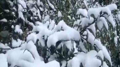 Photo of Uttarakhand experiences season’s first snowfall