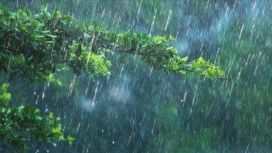 Photo of Regional Met department forecasts widespread rains in Tamil Nadu’s Coastal districts for next five days