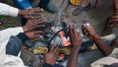 Photo of Cold wave grips Telangana, minimum temperatures drop to single digits