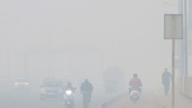 Photo of Cold wave sweeps North India; dense fog, delays in trains & flights expected