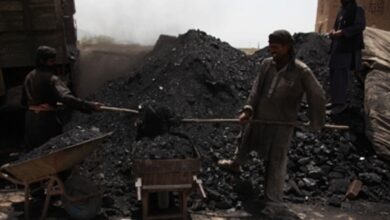 Photo of India’s coal imports drop by over 3% in April-October 2024