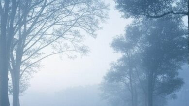 Photo of IMD forecasts dense fog in UP, Bihar, Odisha, Assam, Meghalaya
