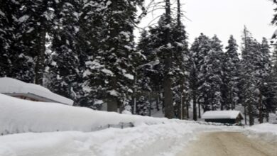 Photo of Fresh snowfall intensifies cold wave in Kashmir