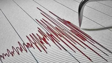 Photo of Earthquake of 4.0 Magnitude Jolts Bihar’s Siwan