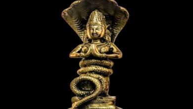 Photo of Nominations Open for Prime Minister’s Yoga Awards 2025