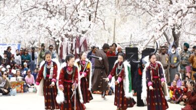 Photo of Apricot Blossom Festival 2025 begins in Ladakh