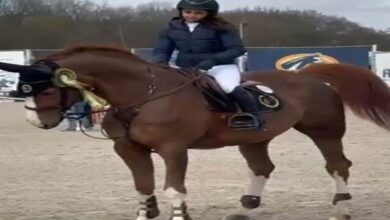 Photo of Indian equestrian Niharika Singhania clinches gold at Azelhof CSI Lier in Belgium
