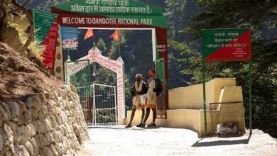 Photo of Gangotri National Park opens for tourists