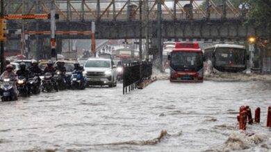 Photo of Relentless rainfall claims 8 lives in Maharashtra