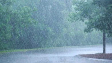 Photo of Intermittent Rain Hits Uttarakhand, Heavy Downpour in Barkot; Char Dham Yatra Continues Unhindered