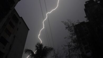 Photo of Lightning kills over 100 sheep & goats in Rajouri