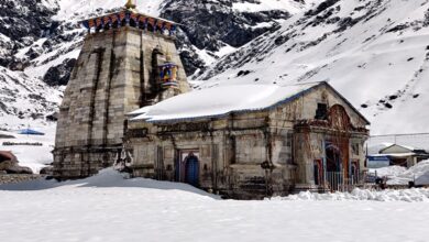 Photo of Horse, mule services resume on Kedarnath trek after Equine Influenza scare