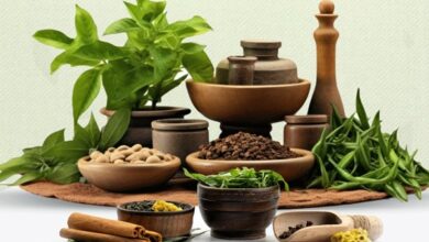 Photo of Govt declares 23rd September as Ayurveda Day