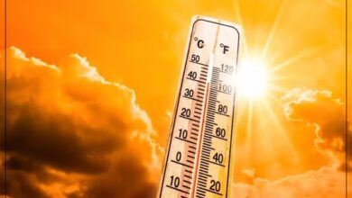 Photo of Red alert issued in Punjab as severe heatwave grips region, relief likely from June 15