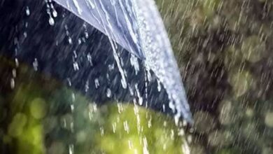 Photo of IMD predicts heavy rain in Assam, Meghalaya