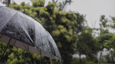 Photo of IMD forecasts widespread showers likely across India over next 5 days