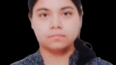 Photo of A Young Girl’s Reflection: Shri Amarnath Vaishnavi Lives On