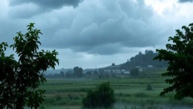 Photo of IMD forecasts heavy rainfall across Central, Northwest, Eastern India over next few days