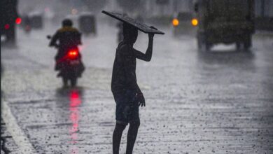 Photo of Heavy Rains Batter Maharashtra: 21 Dead in Four Days, Red Alert Issued