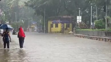 Photo of Incessant Rains Lash Chhatrapati Sambhajinagar-Marathwada; 1,004 Villages Affected, 200 Cattle Dead