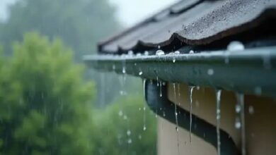 Photo of Kerala Experiences Isolated Heavy Rain, Waterlogging in Thiruvananthapuram