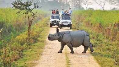 Photo of Kaziranga National Park & Tiger Reserve to Open from Tomorrow